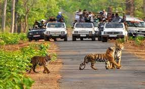 Rajaji National Park